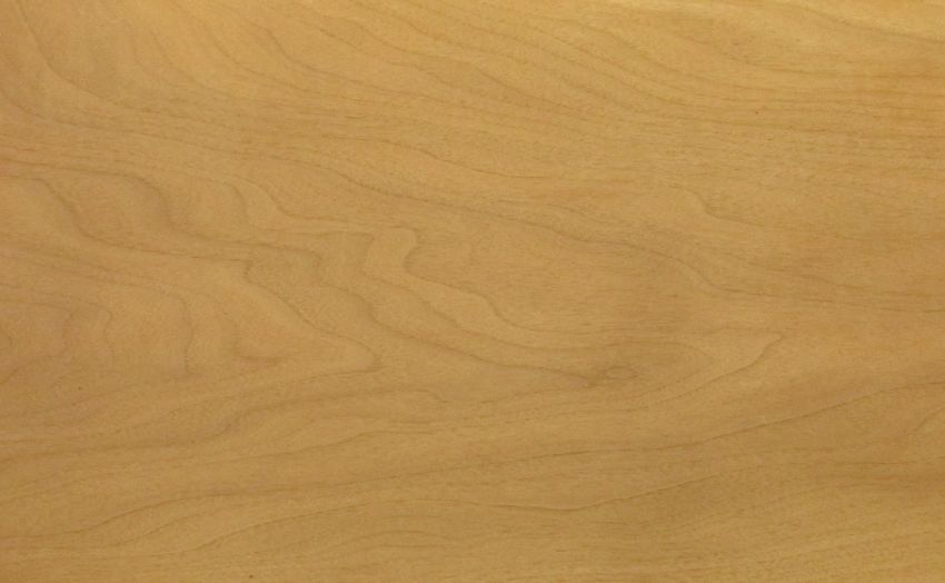 Walnut europ. Sapwood veneer