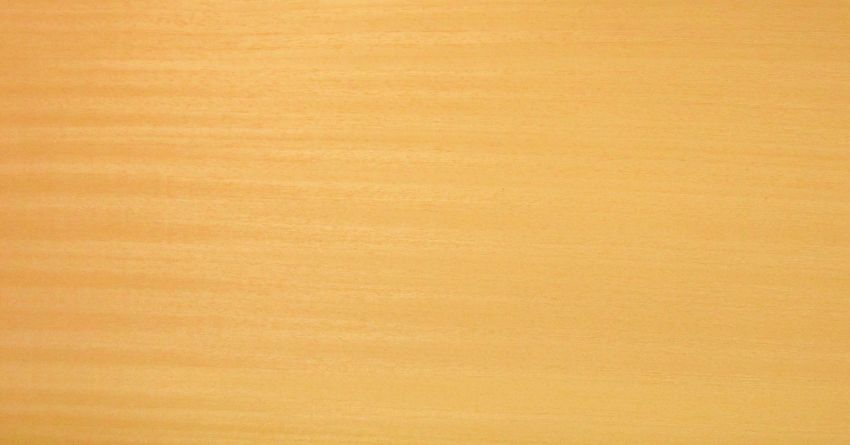Ayous veneer