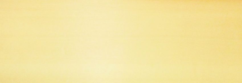 Sycomore (europ. Maple) veneer