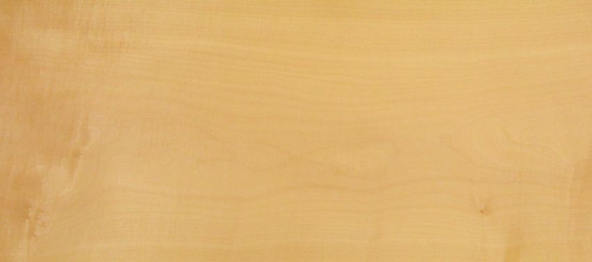 Sycomore (europ. Maple) veneer