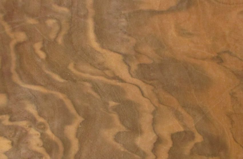 Walnut Burl veneer
