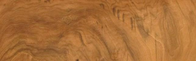 Walnut Burl veneer