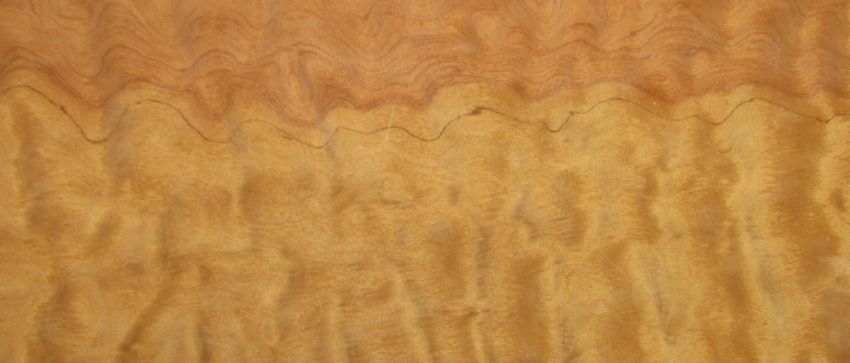 Bubinga Muschelwuchs Furnier