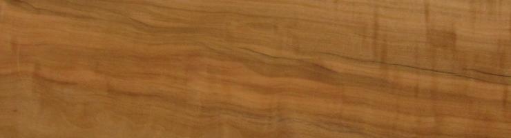 Apple veneer