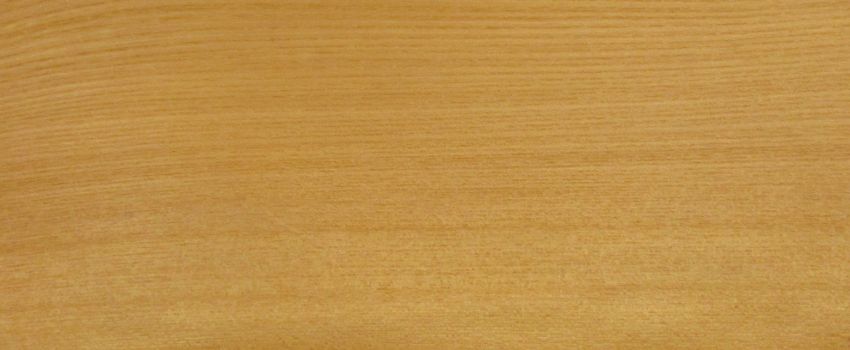 Elm veneer