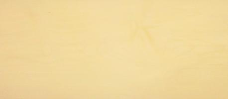 Sycomore (europ. Maple) veneer