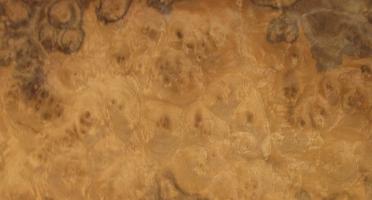 Walnut Burl veneer