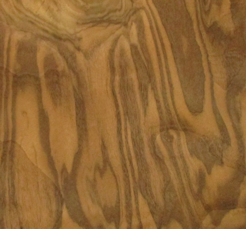 Walnut Burl veneer