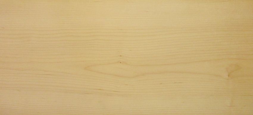 Maple (Hard Maple) veneer