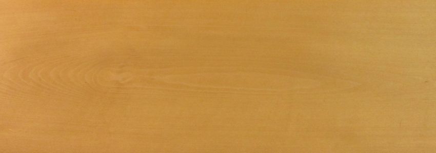 Beech veneer