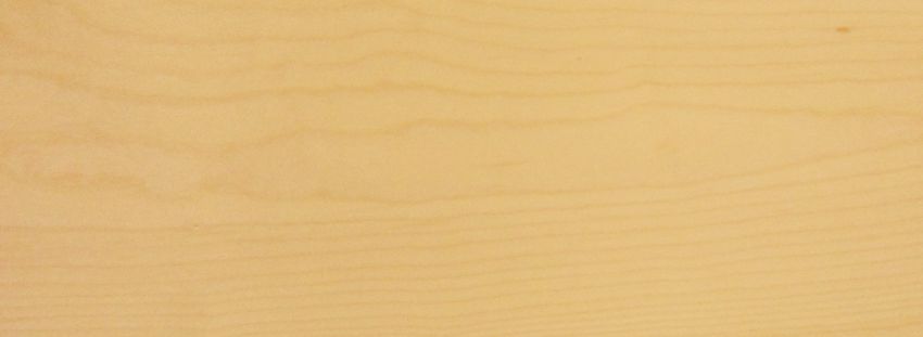 Sycomore (europ. Maple) veneer