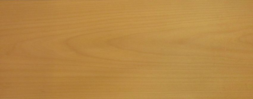 Beech veneer