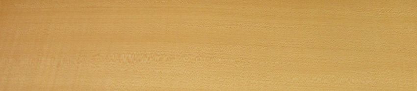 Sycomore (europ. Maple) veneer