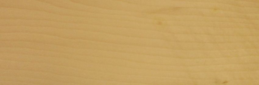 Sycomore (europ. Maple) veneer
