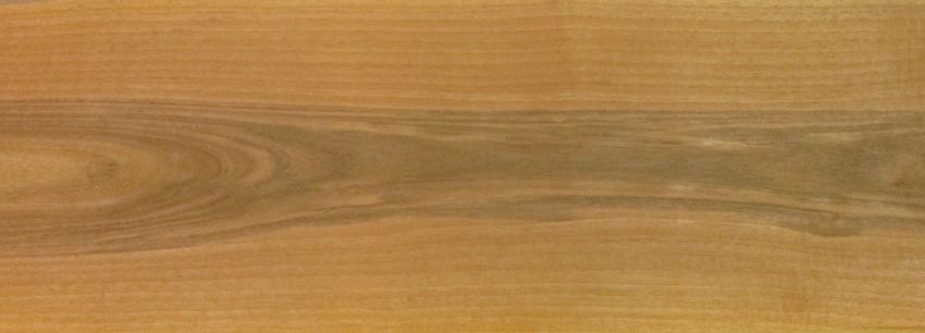 Walnut europ.  veneer