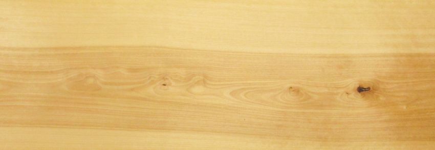 Birch brown heart veneer