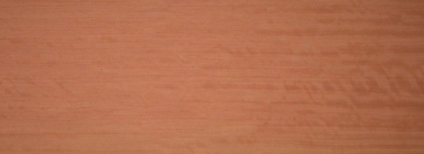 Bubinga Furnier