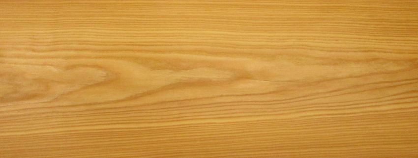 Larch veneer