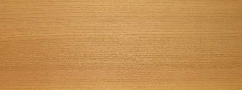 Elm european veneer