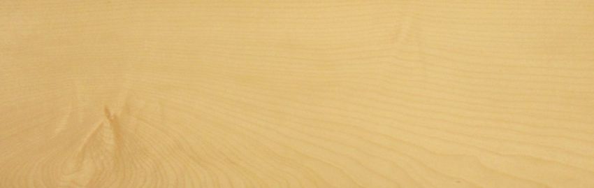 Sycomore (europ. Maple) veneer