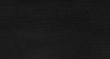 Poplar black veneer