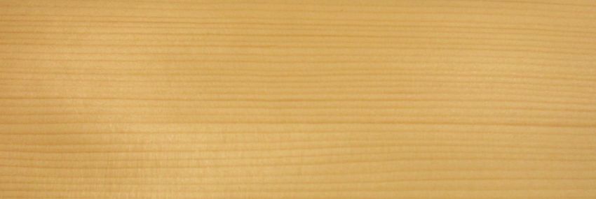 Spruce veneer