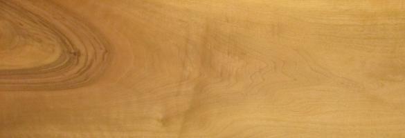 Walnut europ. veneer