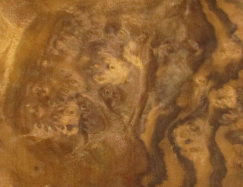 Walnut Burl veneer