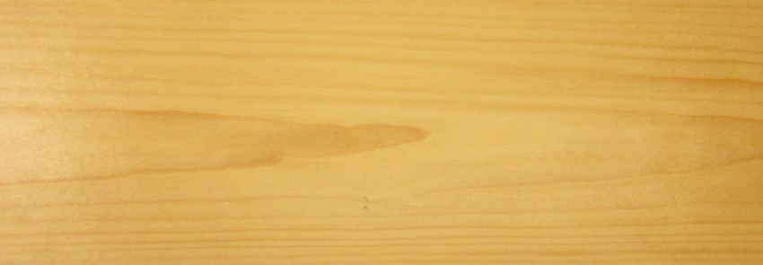 Spruce veneer