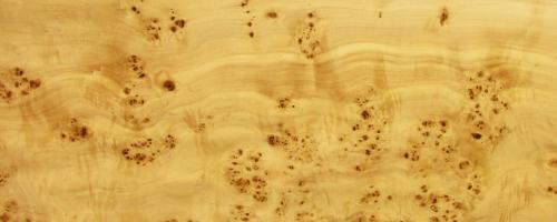Poplar burl veneer