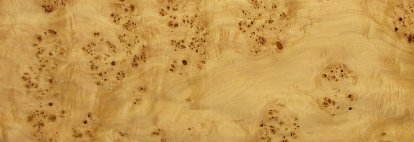 Poplar burl veneer