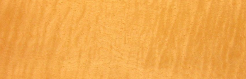 Sycomore (europ. Maple) veneer