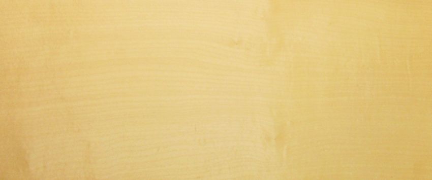 Sycomore (europ. Maple) veneer