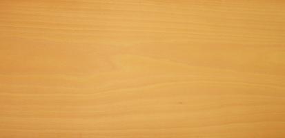 Beech unsteamed veneer