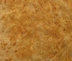 Maple Burl veneer