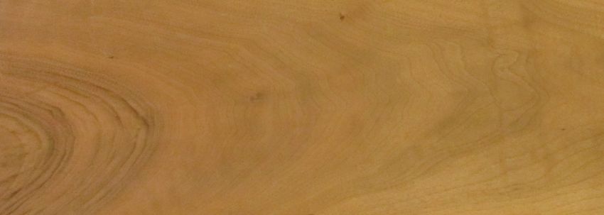Walnut europ. Sapwood veneer