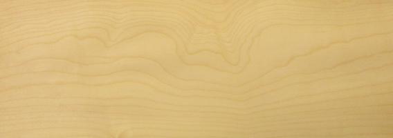 Sycomore (europ. Maple) veneer