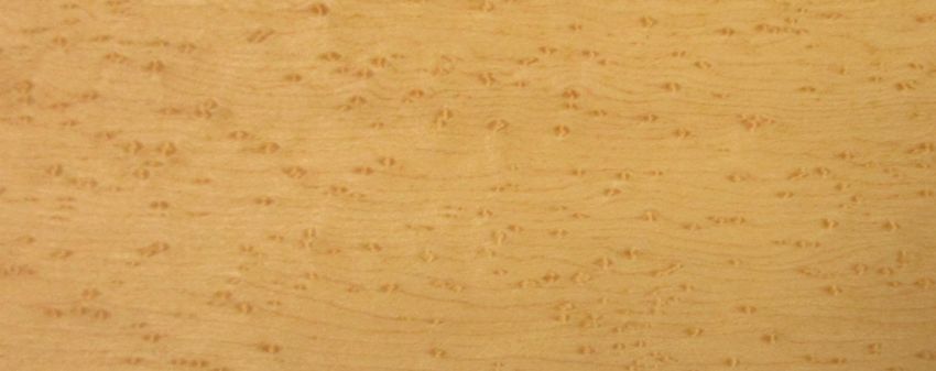 Maple Birdseye Maple veneer
