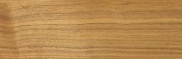 Walnut (Black Walnut) veneer