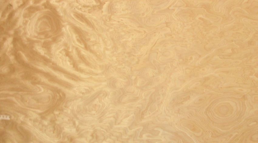 Fineline Birch veneer