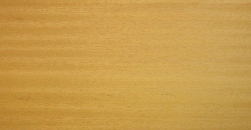 Ayous veneer