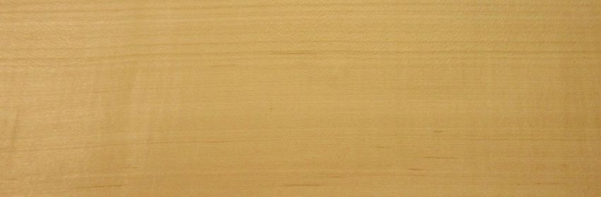 Maple (Hard Maple) veneer