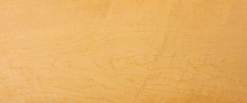 Sycomore (europ. Maple) veneer