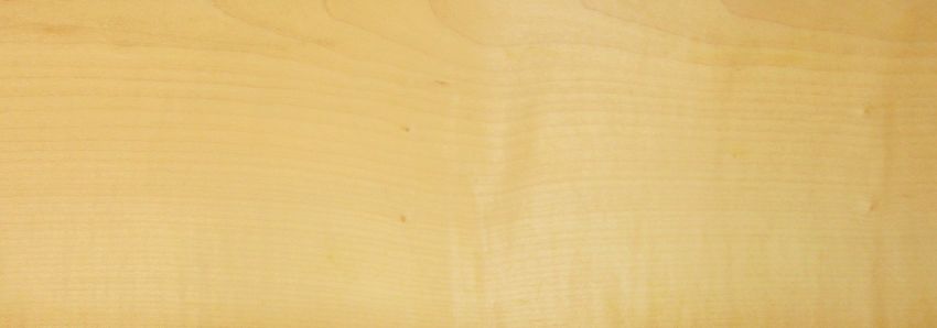 Sycomore (europ. Maple) veneer