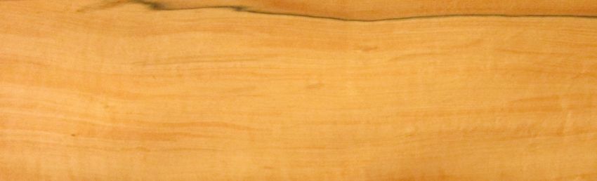 Apfel Indisch (Tineo) Furnier
