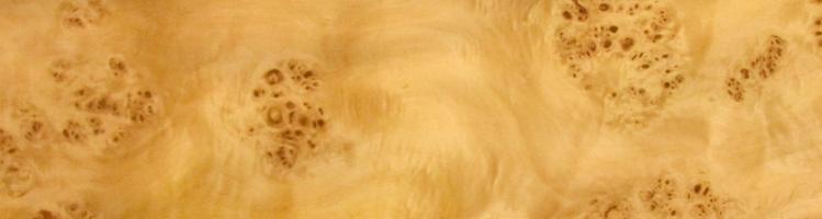 Poplar burl veneer