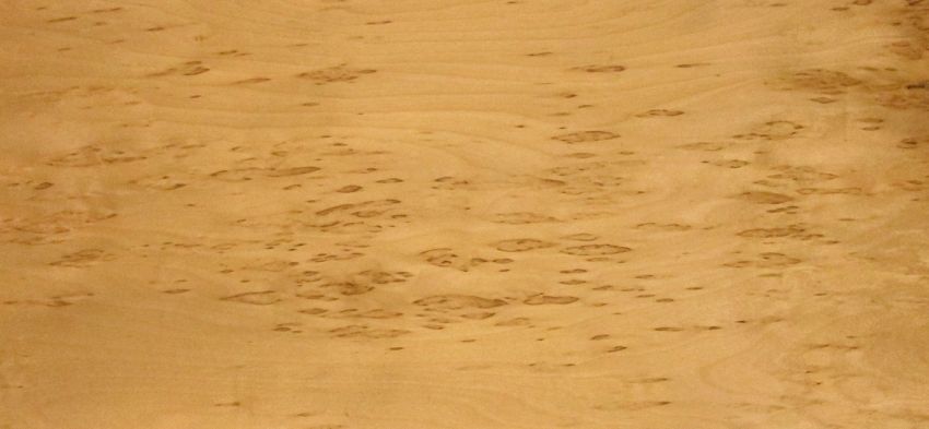 Birch burl veneer