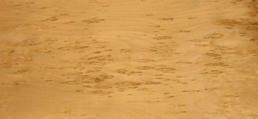 Birch burl veneer