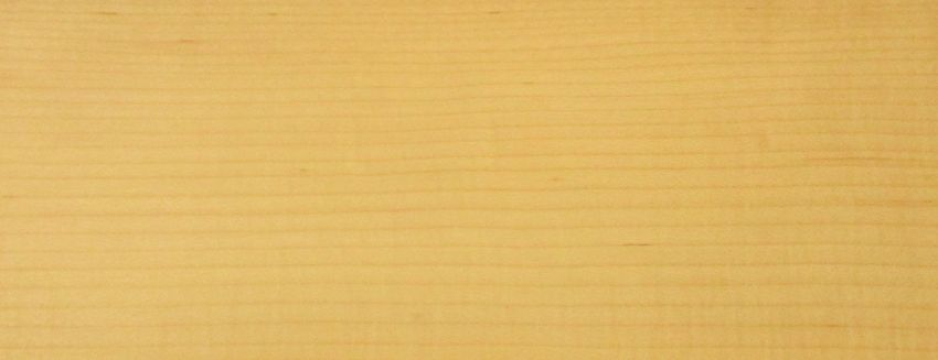 Maple (Hard Maple) veneer