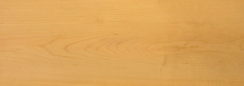 Maple (Hard Maple) veneer